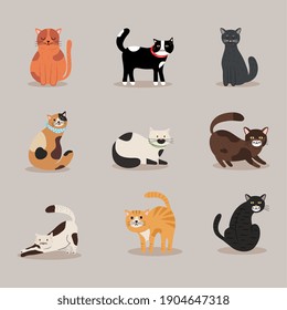 bundle of nine cats differents colors mascots characters vector illustration design