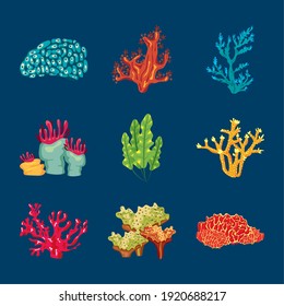 bundle of nine coral sea life nature icons vector illustration design