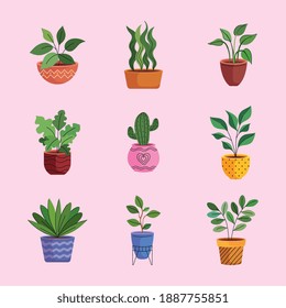 bundle of nine house plants in ceramic pots vector illustration design
