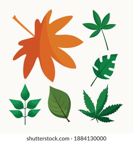 bundle of nine leafs plants flat style icons vector illustration design