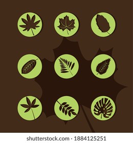 bundle of nine leafs plants silhouette style icons vector illustration design