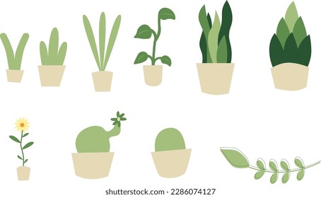 bundle of ornamental plants in pots