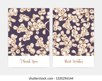 Bundle of postcard or flyer templates decorated by lingonberry sprigs hand drawn with contour lines. Set of cards with ripe fresh organic boreal berries. Natural vector illustration in vintage style.