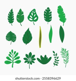 bundle of realistic color 14 types leaves set design white background eco vector illustration