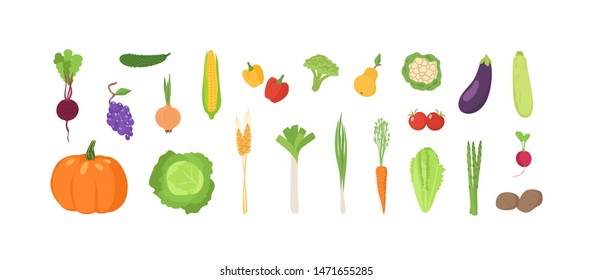 Bundle of ripe fresh organic fruits and vegetables isolated on white background. Set of natural crops, wholesome vegetarian products, fresh healthy food. Flat cartoon colorful vector illustration.