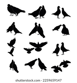 Bundle set couples of pigeon silhouette
