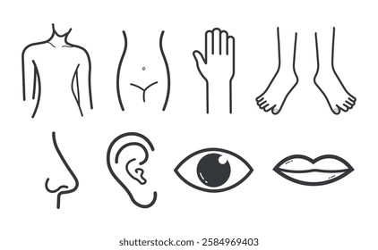 Bundle set outline icon body parts, stomach, hand, leg, nose, ear, eye, mouth