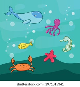 bundle set of sea animals underwater illustration