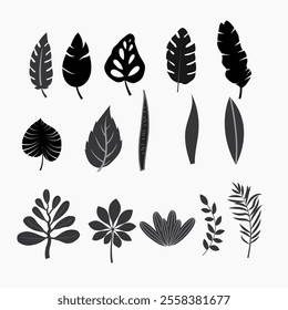 A bundle of silhouette 14 types leaves set design white background vector illustration