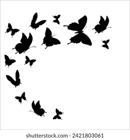 bundle of silhouette butterflies vector
