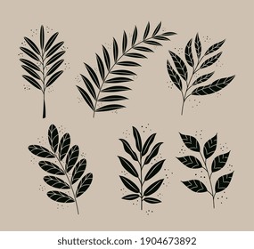 bundle of six boho style leafs plants nature icons vector illustration design