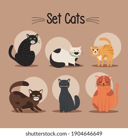 bundle of six cats differents colors mascots and lettering vector illustration design