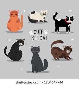 bundle of six cats mascots and lettering vector illustration design