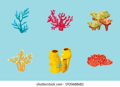 bundle of six coral sea life nature icons vector illustration design