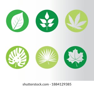bundle of six leafs plants silhouette style icons vector illustration design