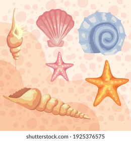 bundle of six sea shells colors set pattern vector illustration design