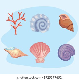 bundle of six sea shells colors set icons vector illustration design