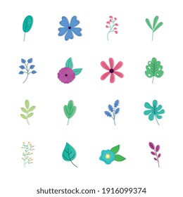 bundle of sixteen spring flowers and leafs vector illustration design