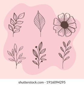 Bundle aus Frühlingsblumen und handgezeichnete Blattsymbole Vektorgrafik-Design