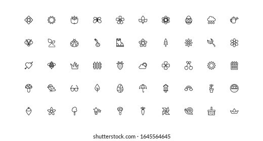 bundle of spring set line icons vector illustration design
