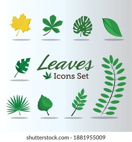 bundle of ten leafs plants and lettering flat style icons vector illustration design