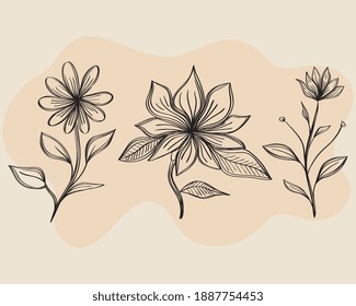 bundle of three flowers drawing nature ecology icons vector illustration design