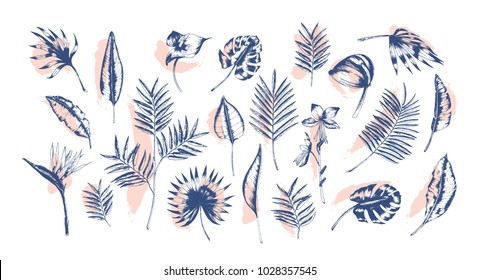 Bundle of tropical leaves of various plants hand drawn with contour lines against pink paint traces on background. Set of exotic foliage of different size and shape. Realistic vector illustration.