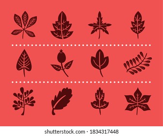 bundle of twelve autumn leaves silhouette style icons vector illustration design