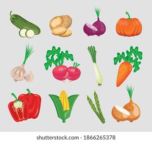 conjunto de doce verduras conjunto en el diseño de ilustración vectorial de fondo blanco