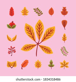 conjunto de veinticinco hojas de otoño diseño de ilustración vectorial de estilo plano