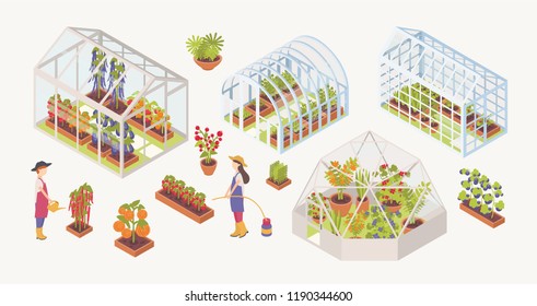 Bundle of various glass greenhouses with plants, flowers and vegetables growing inside, gardeners, farmers or agricultural workers isolated on white background. Colorful isometric vector illustration.