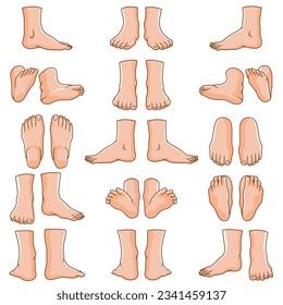 Bundle vector illustrations of various types of leg poses
