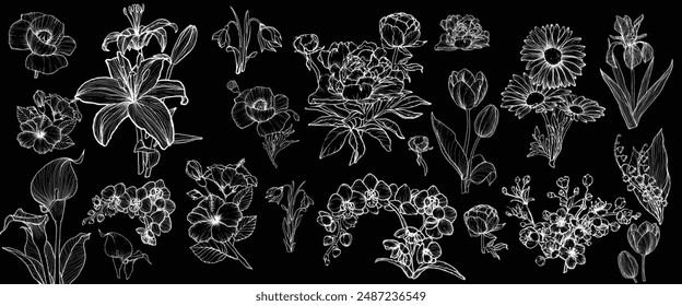 Bundle vector outline of various flowers such as flowers, leaves, buds of poppy, tiger lily, calla, hibiscus, snowdrop, cherry blossom, daisy, iris, lily of the valley, orchid, peony, tulip