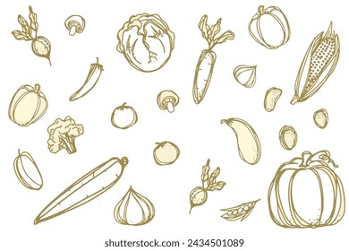 Bundle of vegetables, cultivated root crops, salads, spicy herbs drawn with contour lines on white background. Set of natural design elements. Monochrome vector illustration in line art style