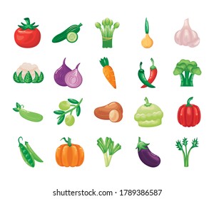 bundle of vegetables set icons vector illustration design