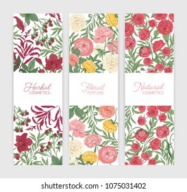 Bundle of vertical floral banner templates decorated with beautiful wild blooming flowers and flowering herbs. Elegant hand drawn vector illustration for herbal or natural cosmetics advertisement