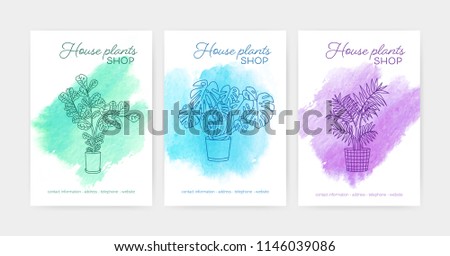 Bundle of vertical poster or flyer templates with indoor plants growing in pots drawn with contour lines against watercolor stains on background. Vector illustration for houseplant shop advertisement