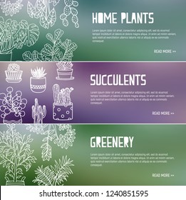 Bundle of web banner templates with houseplants growing in pots drawn with contour lines and place for text. Vector illustration for home gardening store or succulent shop advertisement, promotion.