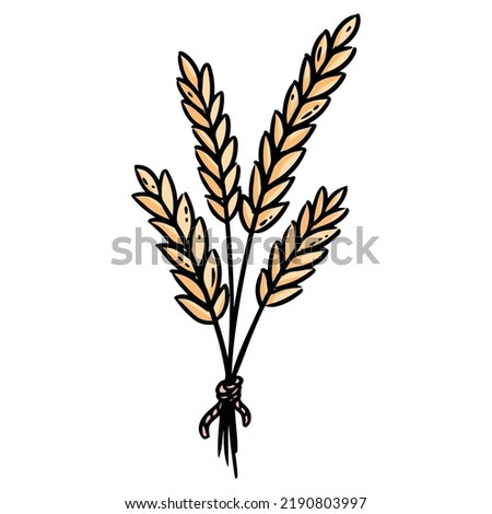Bundle of wheat cartoon icon. Grain outline comic style image. Hand drawn isolated lineart illustration for prints, designs, cards. Web and mobile