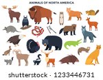 Bundle of wild forest animals and birds or North America. Collection of continent inhabitants. Set of cute cartoon characters isolated on white background. Colorful vector illustration in flat style.