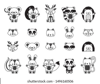 bundle of woodland life animals vector illustration design