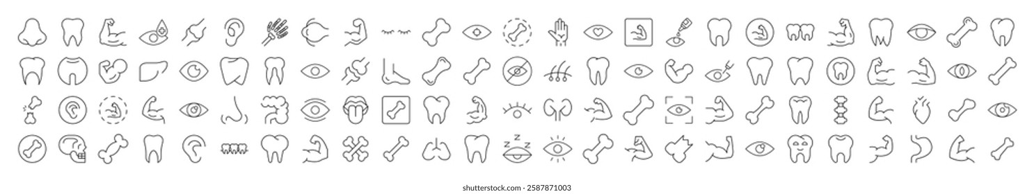 Bundles, Eye, Tooth, Muscle, Internal Organs Pictograms Drawn with Thin Line. Collection of Various Design Elements that Can Be Used for Apps, Articles, Web Sites, Social Media