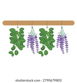 Bundles of fresh green eucalyptus and purple lavender flowers hanging upside down on a wooden rod to dry, flat vector botanical illustration isolated on white background.