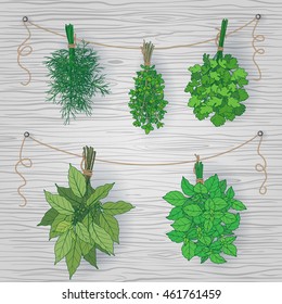 Bundles of thyme, bay leaves, dill, parsley and basil tied with a string.  Bunches of  flavoring  green herbs hanging on grey wooden background.