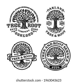 bundles of tree root logo badge with circle shape in vintage design