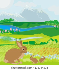 bunnies in green meadow 
