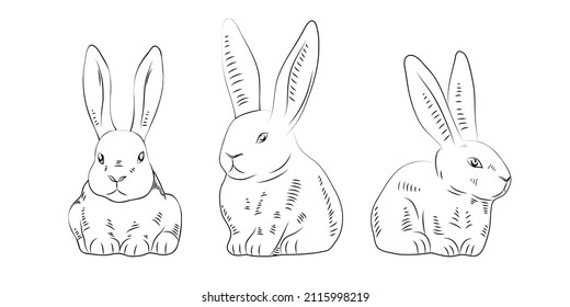 Bunnies, set of linear rabbits in different poses, outline hand drawn hare, isolated on white background. Vector illustration