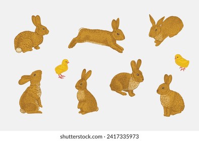 Bunnies set. Vector vintage classic illustration. 