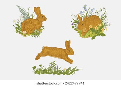 Bunnies set. Vector vintage classic illustration. 