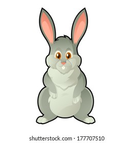 Bunny